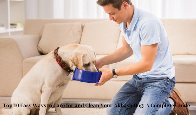 Top 10 Easy Ways to Care for and Clean Your Akbash Dog: A Complete Guide